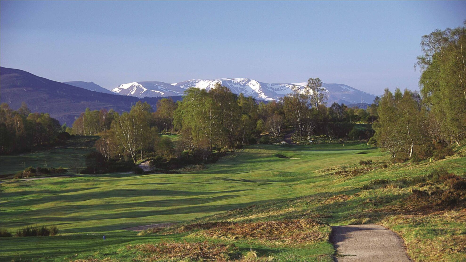 Scotland's Boat of Garten Golf Club-Tree lined fairway